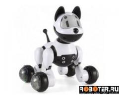 Интерактивная собака робот