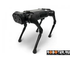 AlienGo Robot Dog