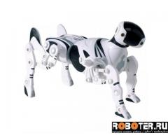 Робот- собака робопет