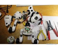 Ремонт роботов Zoomer, Wall-e и других в Питере