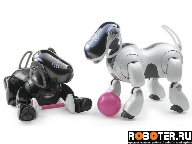 Диагностика робота-собаки Aibo ERS-7 перед покупкой