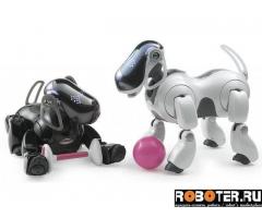 Diagnostics of robot-dog Aibo ERS-7 before purchase