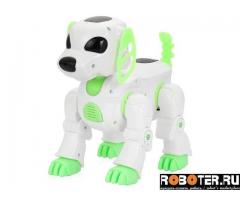 Dog-robot