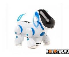 The robot dog Shantou