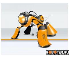 Robot-Kit.ru