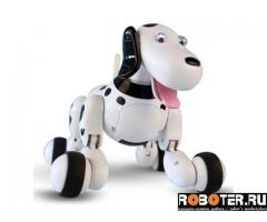 Умная собачка Smart dog радиоуправляемая на пульте
