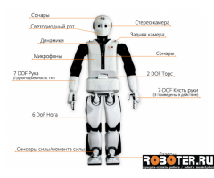 Андроидный робот REEM-C 165 см
