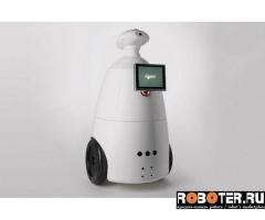 R.Bot 100 Plus (Плюс) - робот промоутер