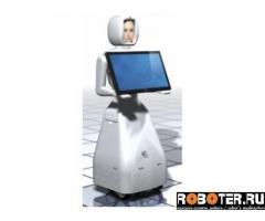 Интерактивный робот Валерия (Valerija)