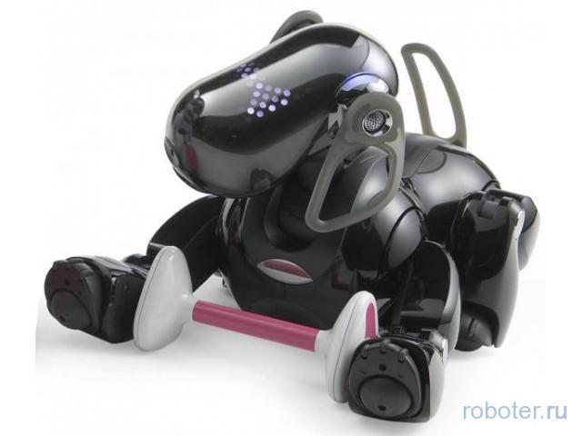 Робот-собака Aibo