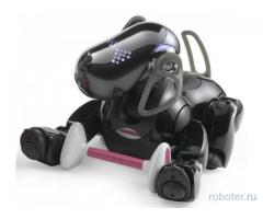 Робот-собака Aibo
