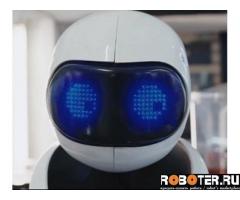Робокафе: робот-бармен, робот-бариста в аренду