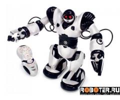 Робот robosapiens