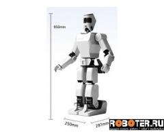 RQ-TITAN Многоцелевой робот гуманоид